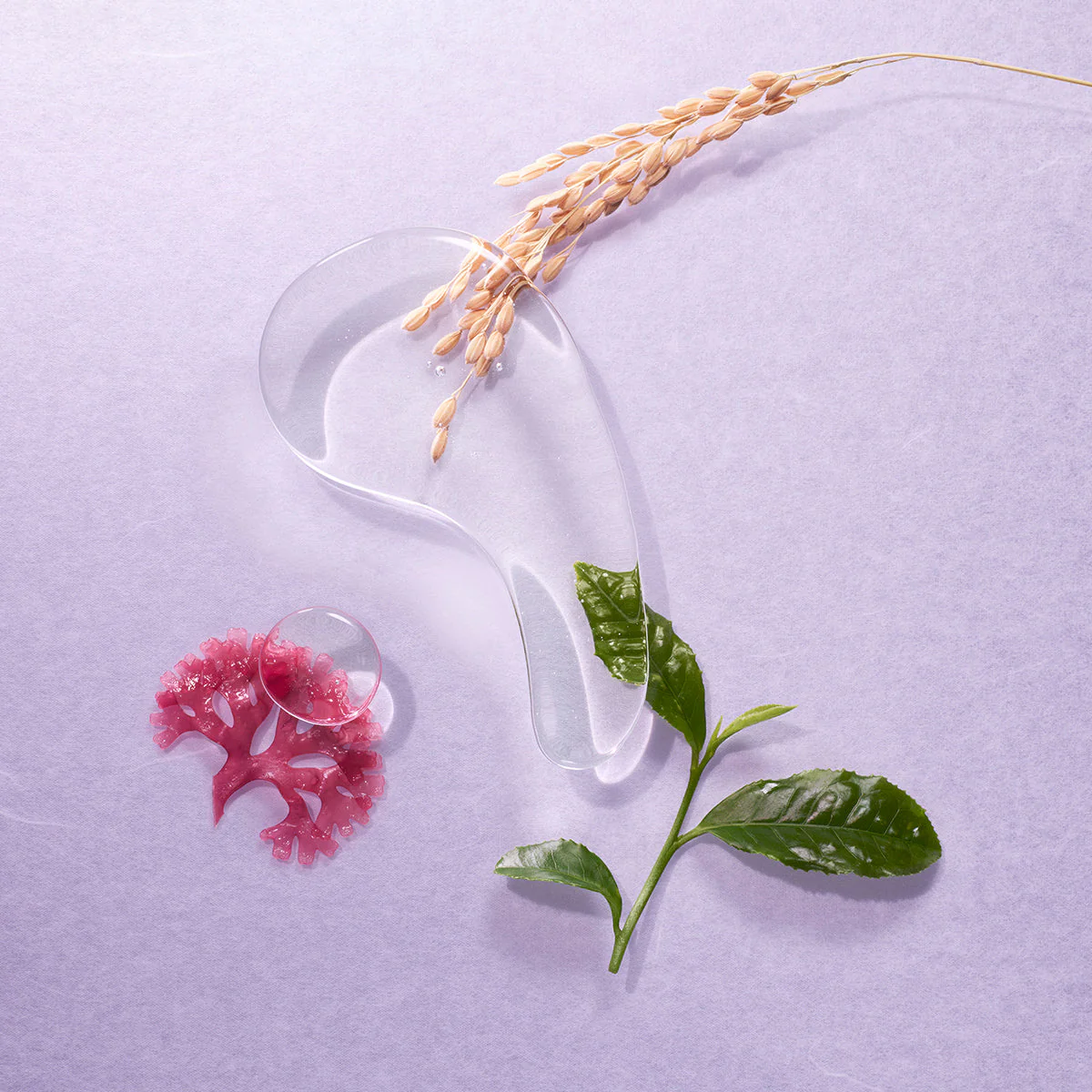 The Essence - Image 9