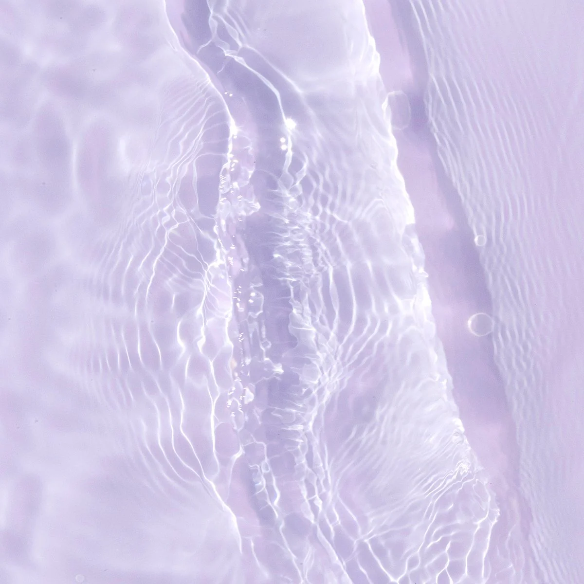 The Starter Ritual - Image 8